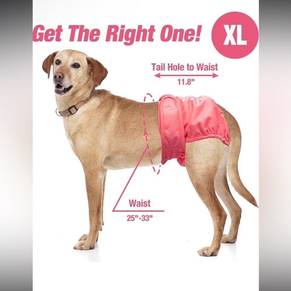 Pet Parents® Washable Dog Diapers (3pack) + Extenders
NEW - Picture 5 of 6